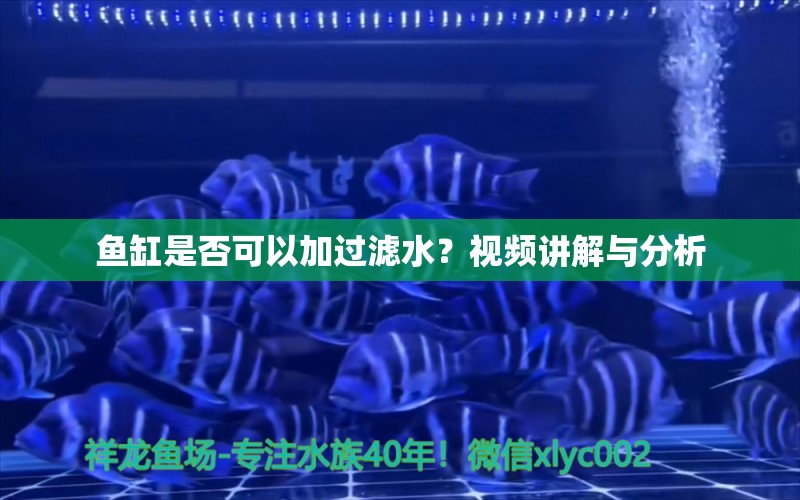 魚(yú)缸是否可以加過(guò)濾水？視頻講解與分析 帝王三間魚(yú)