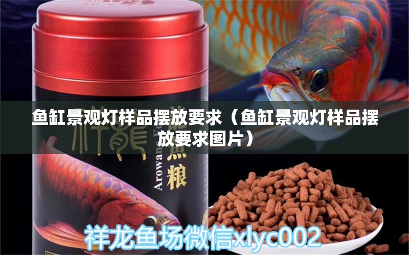 魚缸景觀燈樣品擺放要求（魚缸景觀燈樣品擺放要求圖片）