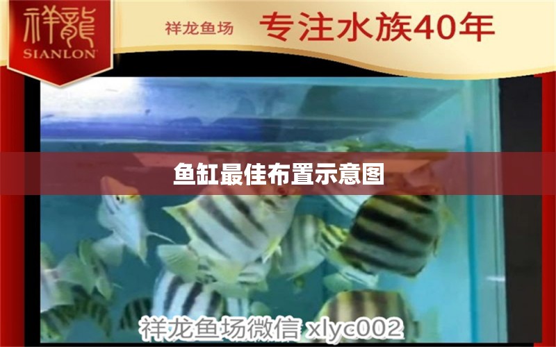 魚(yú)缸最佳布置示意圖