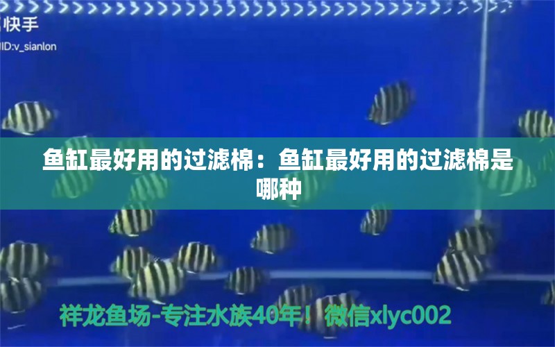 魚(yú)缸最好用的過(guò)濾棉：魚(yú)缸最好用的過(guò)濾棉是哪種 觀賞魚(yú)