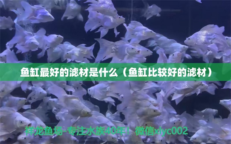 魚缸最好的濾材是什么（魚缸比較好的濾材） 廣州觀賞魚批發(fā)市場