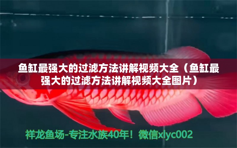 魚缸最強大的過濾方法講解視頻大全（魚缸最強大的過濾方法講解視頻大全圖片）