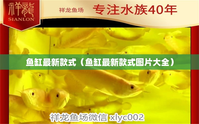 魚缸最新款式（魚缸最新款式圖片大全）