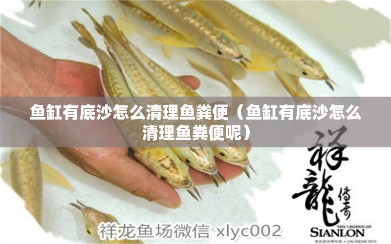 魚(yú)缸有底沙怎么清理魚(yú)糞便（魚(yú)缸有底沙怎么清理魚(yú)糞便呢）