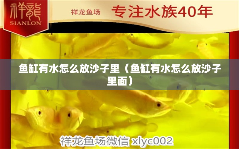 魚缸有水怎么放沙子里（魚缸有水怎么放沙子里面） 祥龍水族醫(yī)院