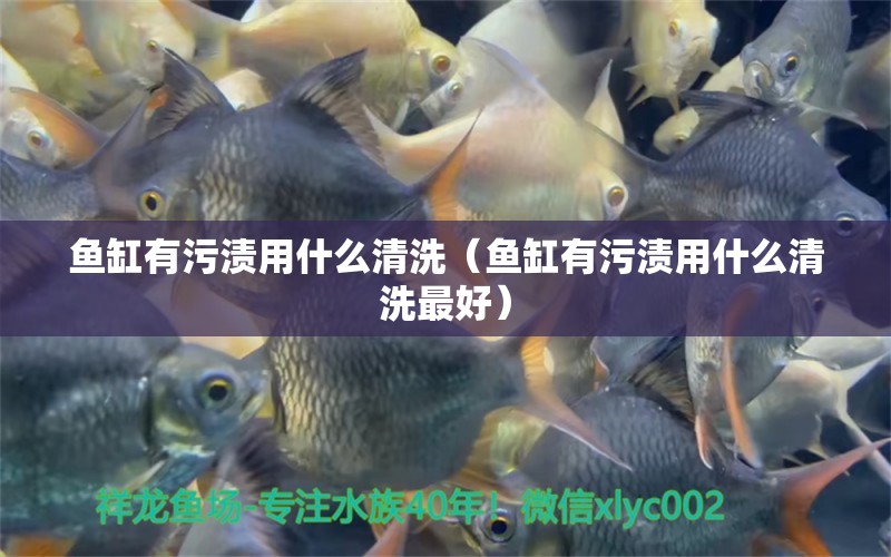 魚缸有污漬用什么清洗（魚缸有污漬用什么清洗最好）