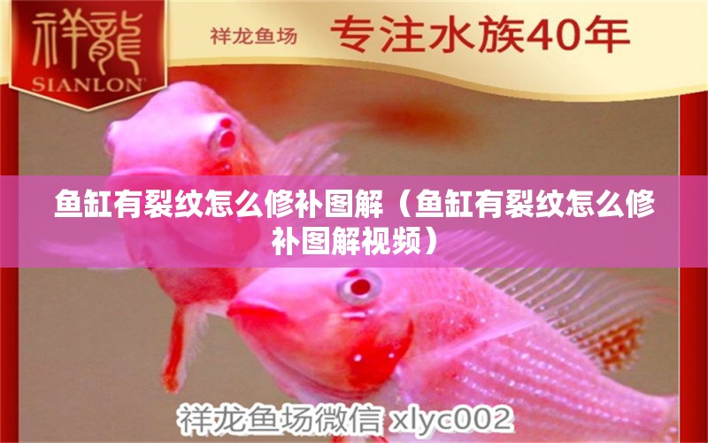 魚缸有裂紋怎么修補圖解（魚缸有裂紋怎么修補圖解視頻）