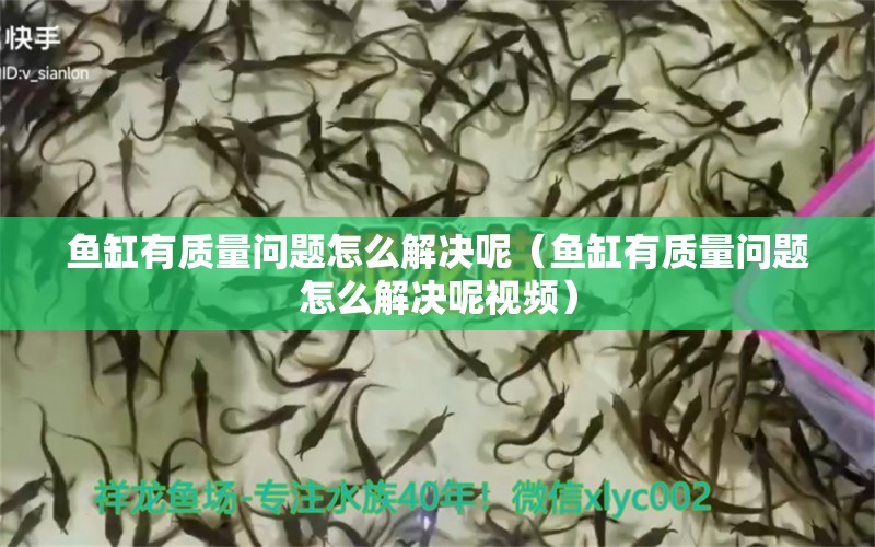 魚(yú)缸有質(zhì)量問(wèn)題怎么解決呢（魚(yú)缸有質(zhì)量問(wèn)題怎么解決呢視頻） 熊貓異形魚(yú)L46