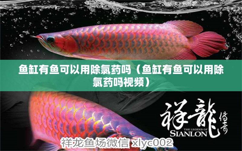 魚缸有魚可以用除氯藥嗎（魚缸有魚可以用除氯藥嗎視頻） 祥龍水族醫(yī)院