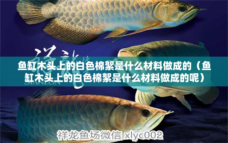 魚缸木頭上的白色棉絮是什么材料做成的（魚缸木頭上的白色棉絮是什么材料做成的呢）