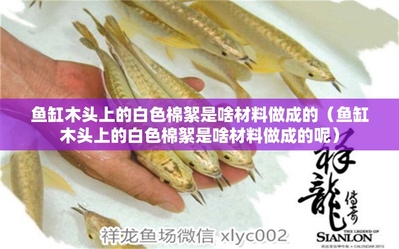 魚缸木頭上的白色棉絮是啥材料做成的（魚缸木頭上的白色棉絮是啥材料做成的呢）