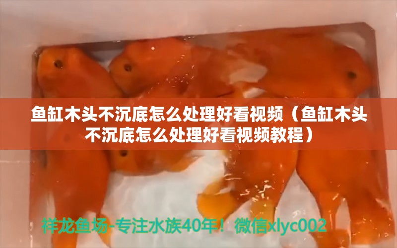 魚缸木頭不沉底怎么處理好看視頻（魚缸木頭不沉底怎么處理好看視頻教程） 其他品牌魚缸