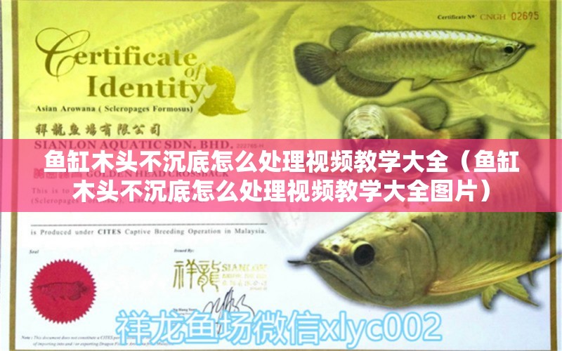 魚缸木頭不沉底怎么處理視頻教學(xué)大全（魚缸木頭不沉底怎么處理視頻教學(xué)大全圖片）