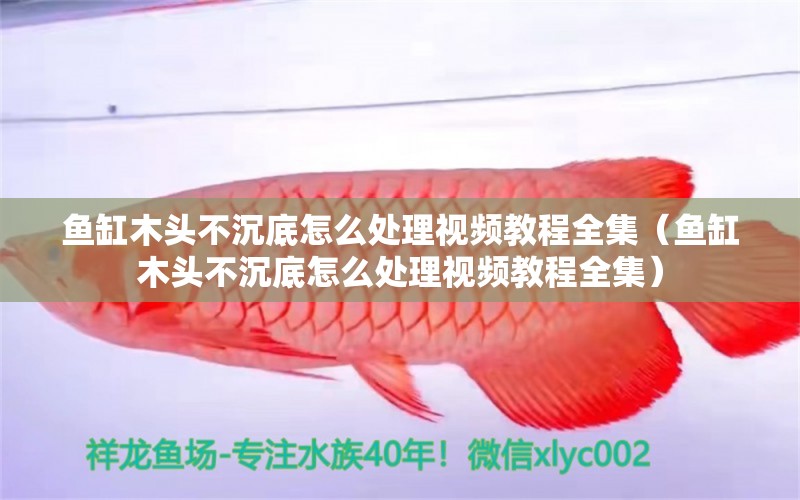 魚缸木頭不沉底怎么處理視頻教程全集（魚缸木頭不沉底怎么處理視頻教程全集）