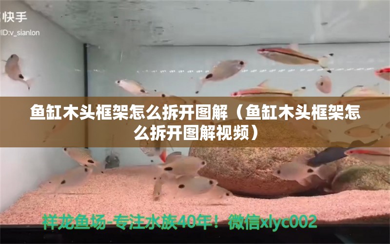 魚缸木頭框架怎么拆開圖解（魚缸木頭框架怎么拆開圖解視頻）