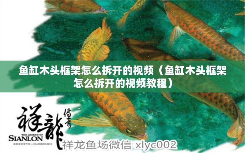 魚缸木頭框架怎么拆開的視頻（魚缸木頭框架怎么拆開的視頻教程） 祥龍水族醫(yī)院