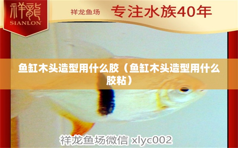 魚(yú)缸木頭造型用什么膠（魚(yú)缸木頭造型用什么膠粘）