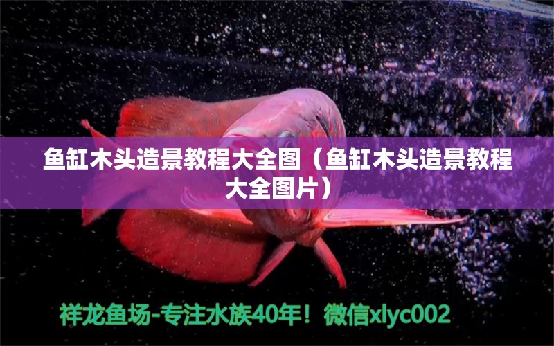 魚缸木頭造景教程大全圖（魚缸木頭造景教程大全圖片） 其他品牌魚缸