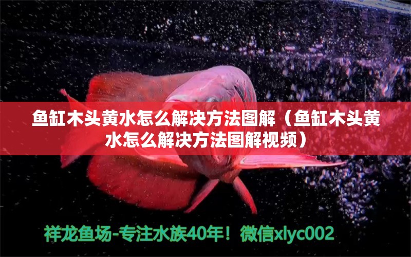 魚缸木頭黃水怎么解決方法圖解（魚缸木頭黃水怎么解決方法圖解視頻）