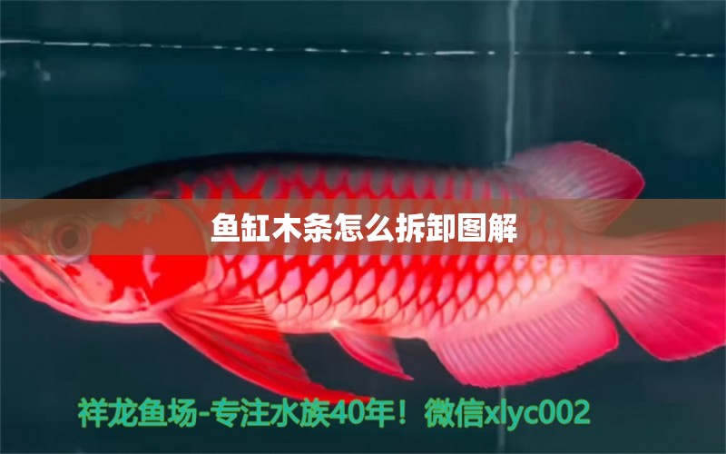 魚缸木條怎么拆卸圖解