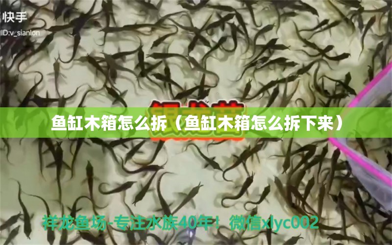 魚缸木箱怎么拆（魚缸木箱怎么拆下來） PH調(diào)節(jié)劑