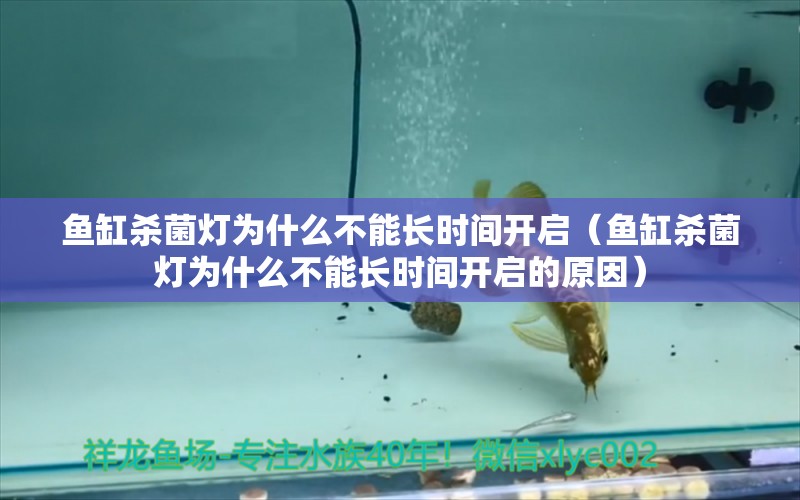 魚缸殺菌燈為什么不能長時間開啟（魚缸殺菌燈為什么不能長時間開啟的原因） 愛龍仕