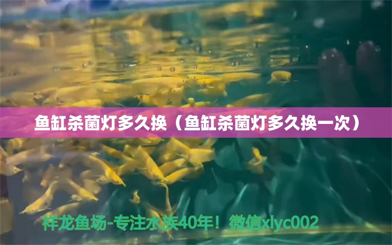 魚缸殺菌燈多久換（魚缸殺菌燈多久換一次）