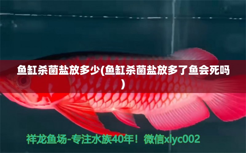 魚缸殺菌鹽放多少(魚缸殺菌鹽放多了魚會(huì)死嗎)