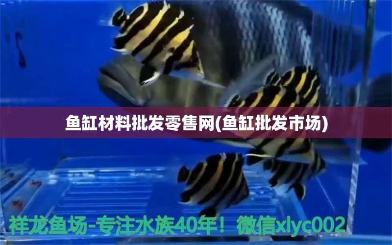 魚缸材料批發(fā)零售網(wǎng)(魚缸批發(fā)市場) 南美異形觀賞魚