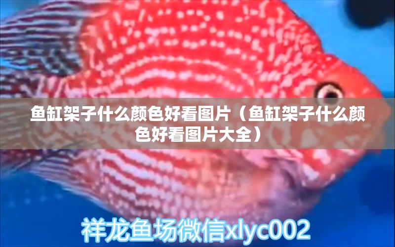 魚缸架子什么顏色好看圖片（魚缸架子什么顏色好看圖片大全）