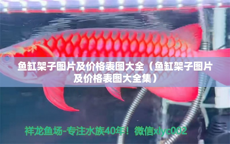 魚缸架子圖片及價格表圖大全（魚缸架子圖片及價格表圖大全集）