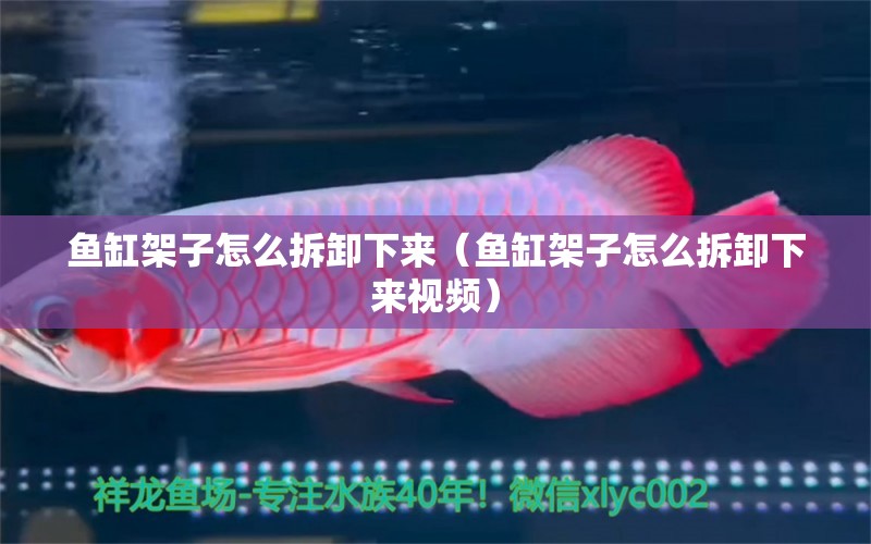 魚缸架子怎么拆卸下來（魚缸架子怎么拆卸下來視頻）