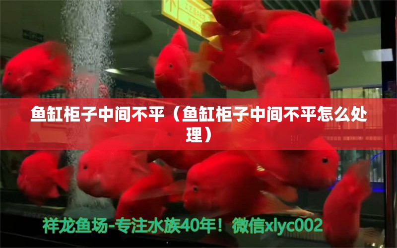 魚缸柜子中間不平（魚缸柜子中間不平怎么處理） 其他品牌魚缸