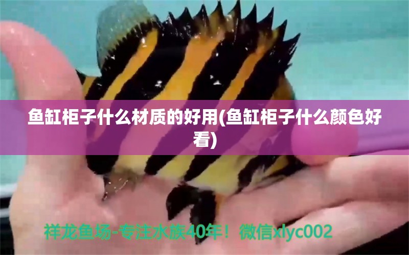 魚缸柜子什么材質(zhì)的好用(魚缸柜子什么顏色好看) 孵化器