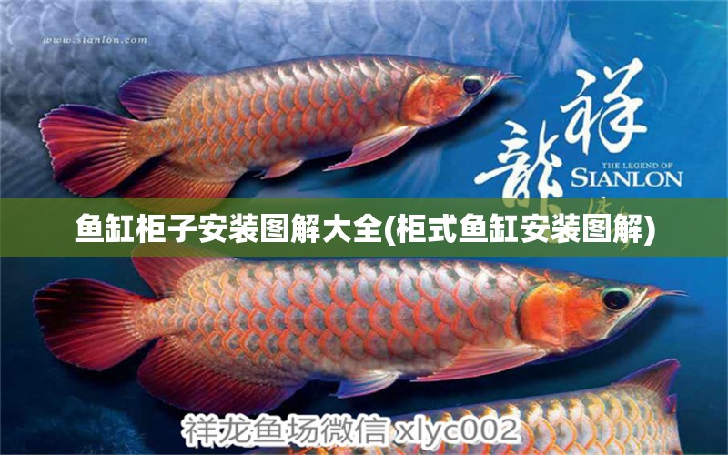 魚缸柜子安裝圖解大全(柜式魚缸安裝圖解)