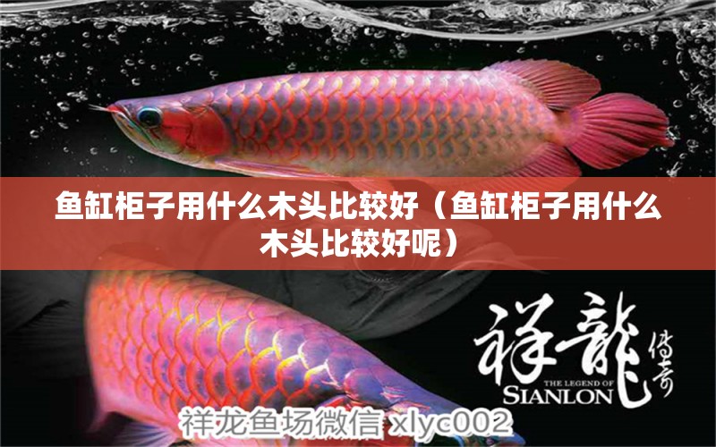 魚缸柜子用什么木頭比較好（魚缸柜子用什么木頭比較好呢）