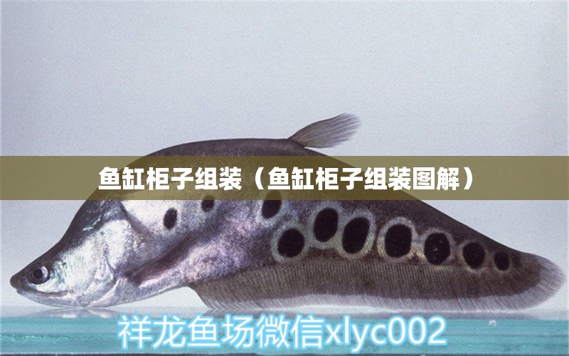 魚(yú)缸柜子組裝（魚(yú)缸柜子組裝圖解）