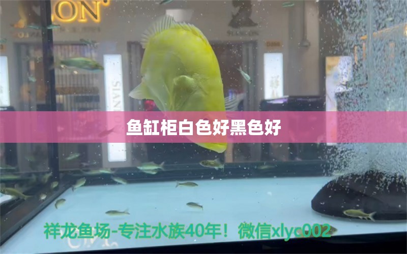 魚缸柜白色好黑色好