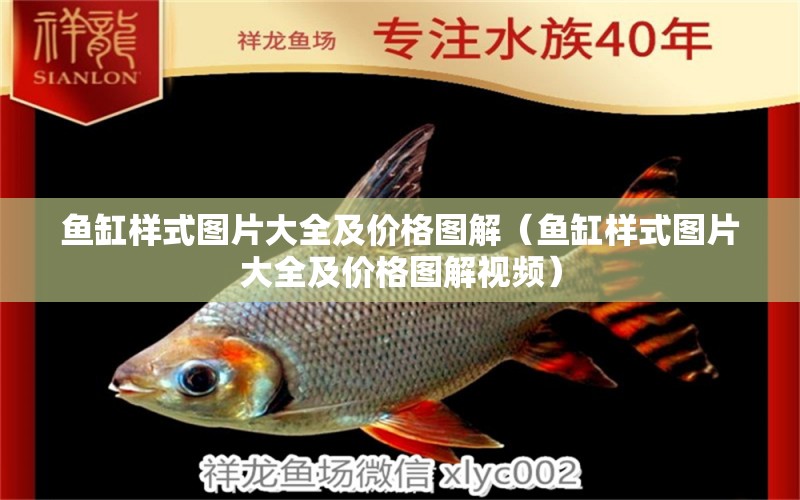 魚(yú)缸樣式圖片大全及價(jià)格圖解（魚(yú)缸樣式圖片大全及價(jià)格圖解視頻） 觀(guān)賞魚(yú)市場(chǎng)（混養(yǎng)魚(yú)）