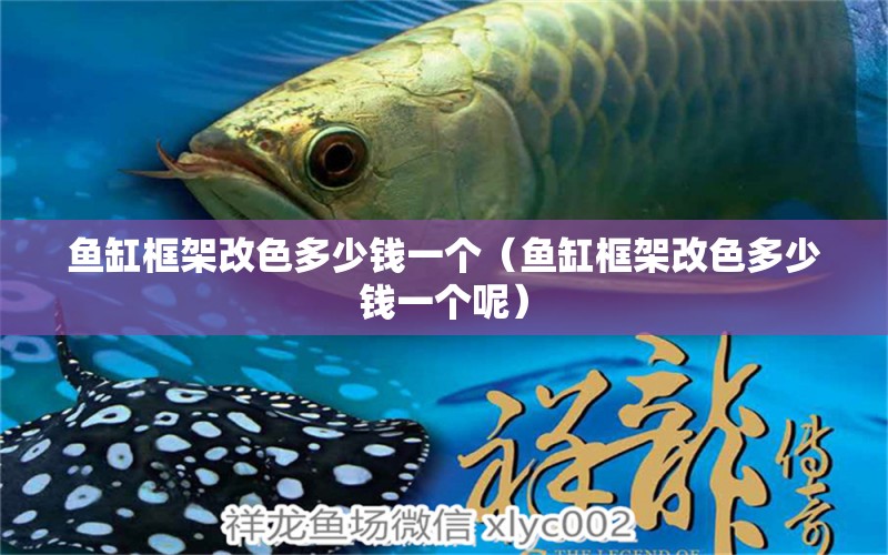 魚缸框架改色多少錢一個（魚缸框架改色多少錢一個呢）