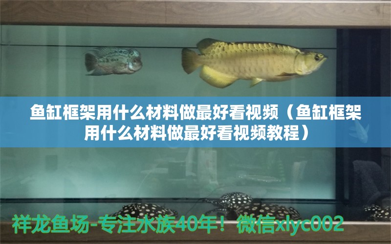 魚缸框架用什么材料做最好看視頻（魚缸框架用什么材料做最好看視頻教程）