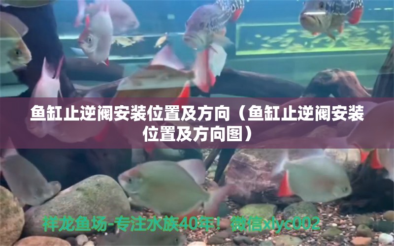 魚缸止逆閥安裝位置及方向（魚缸止逆閥安裝位置及方向圖）