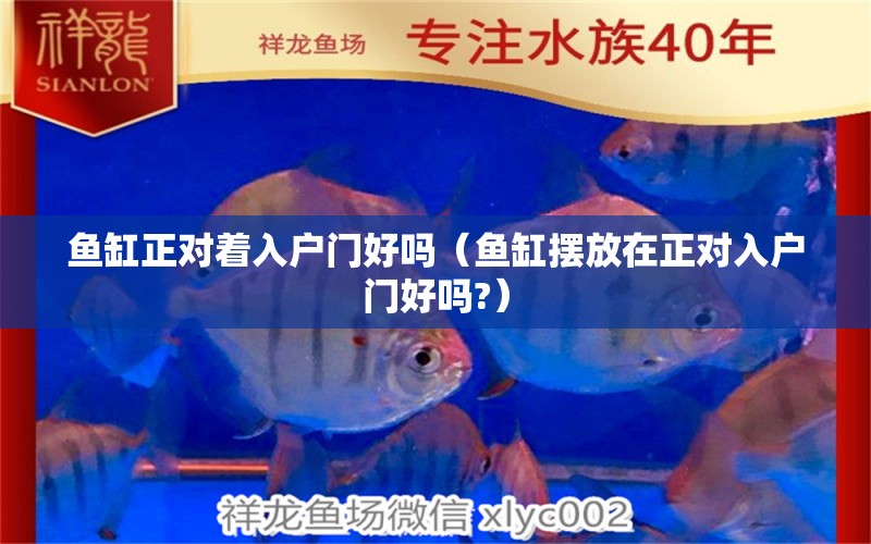 魚缸正對著入戶門好嗎（魚缸擺放在正對入戶門好嗎?） 祥龍水族醫(yī)院