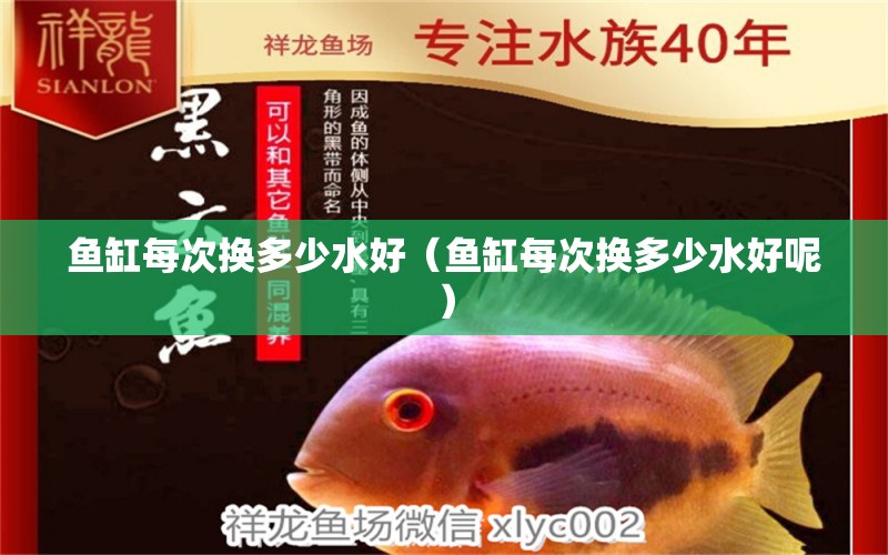 魚(yú)缸每次換多少水好（魚(yú)缸每次換多少水好呢） 祥龍水族醫(yī)院