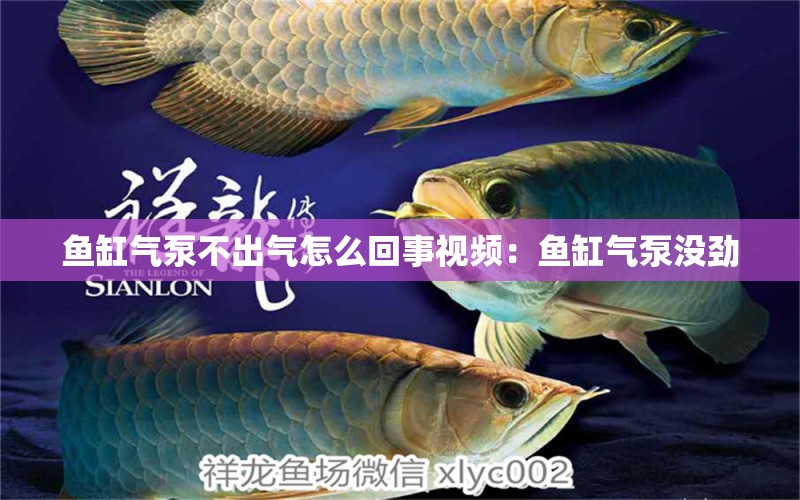 魚缸氣泵不出氣怎么回事視頻：魚缸氣泵沒勁