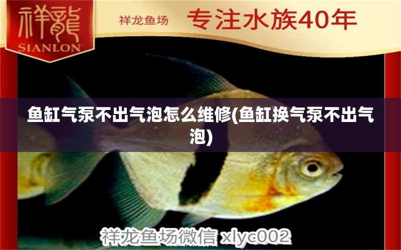 魚缸氣泵不出氣泡怎么維修(魚缸換氣泵不出氣泡) 觀賞魚飼料