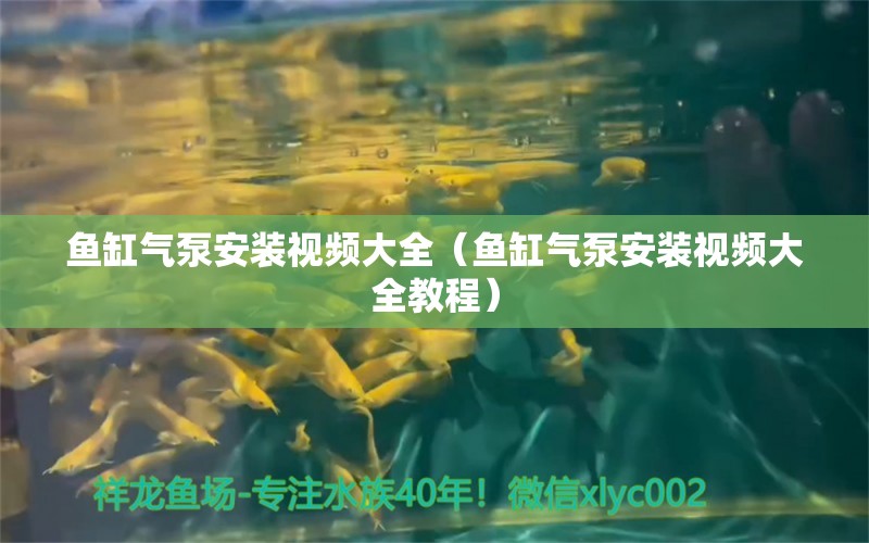 魚缸氣泵安裝視頻大全（魚缸氣泵安裝視頻大全教程） 觀賞魚市場（混養(yǎng)魚）