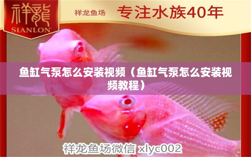 魚缸氣泵怎么安裝視頻（魚缸氣泵怎么安裝視頻教程）