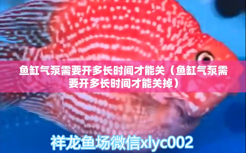 魚缸氣泵需要開多長時間才能關(guān)（魚缸氣泵需要開多長時間才能關(guān)掉）