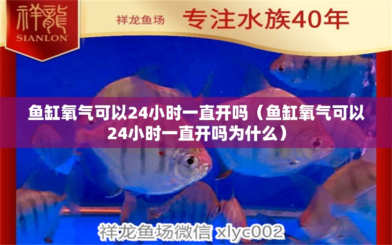 魚缸氧氣可以24小時(shí)一直開嗎（魚缸氧氣可以24小時(shí)一直開嗎為什么） 觀賞魚市場(chǎng)（混養(yǎng)魚）